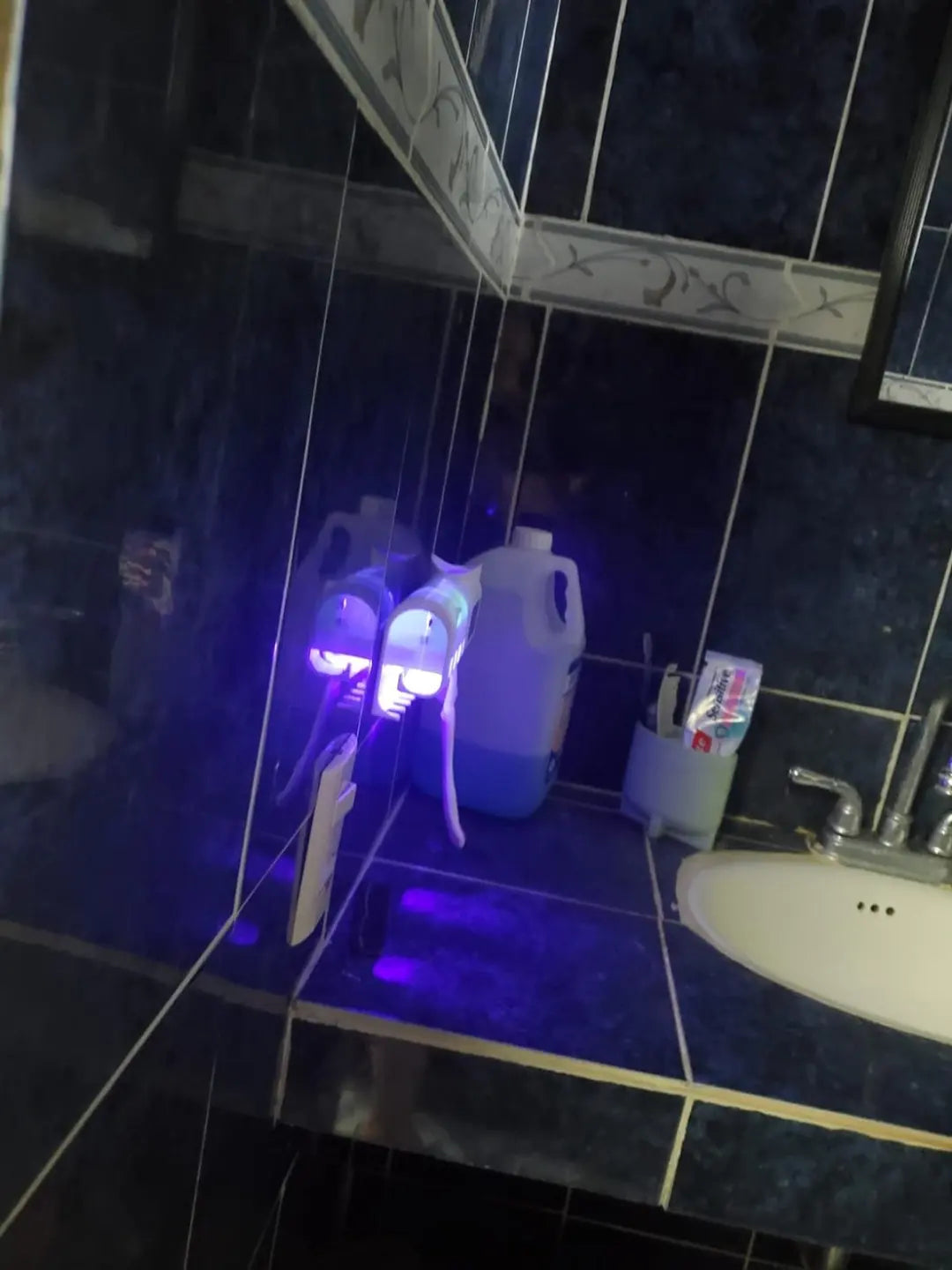 PORTA CEPOLLOS ESTERILIZADOR U-V DENT
